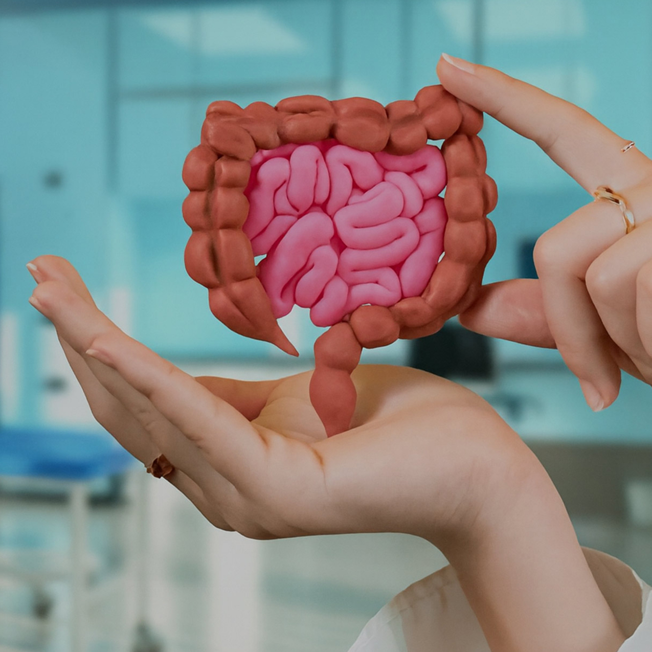 health coach, nutrition, dietition, weightloss diet plan